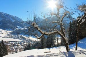 Paesaggio naturale nelle vicinanze dell'appartamento