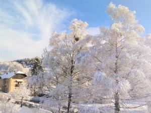 Το Kunterbunt Seehaus τον χειμώνα