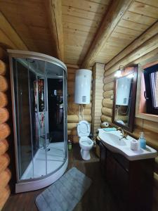 ein Bad mit einer Dusche, einem WC und einem Waschbecken in der Unterkunft Cabana Raisa in Valea Moldovei