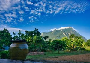a large vase sitting in front of a mountain at Cozycomo Chiang Dao - Pha Mok in Amphoe Chiang Dao
