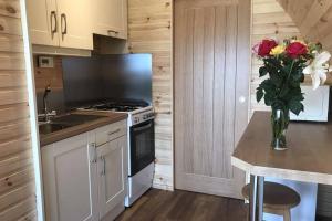 una cucina con piano cottura e un vaso di fiori su un bancone di Tollymore Luxury Log Cabin a Kilcoo
