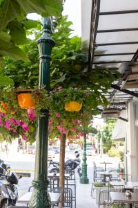 una luz de la calle con flores colgando de ella en Casa Verde en Lagadas