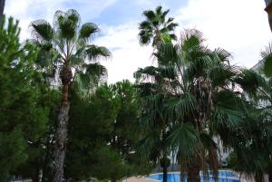 Bazén v ubytování Beach Flat Albir,Esmeralda nebo v jeho okolí