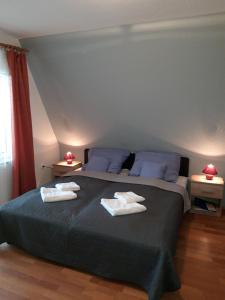 Gallery image of Attila Vend&eacute;gh&aacute;z in H&eacute;v&iacute;z