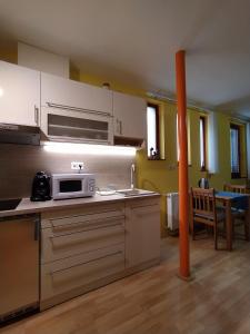 een keuken met een wastafel en een magnetron op een aanrecht bij Keltaur Studio Apartman with garage in Pécs