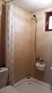 a bathroom with a toilet and a shower and a sink at Вили Green in Tsigov Chark +32 photos