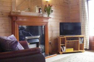 Glas Doire Lodge, Glen Roy Nature Reserve في رويبريدج: غرفة معيشة فيها موقد وتلفزيون
