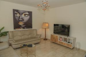 a living room with a couch and a television at valentine House in Deir Ḥannā