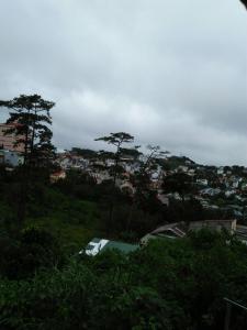vistas a una ciudad con árboles y edificios en Nhà của Sóc en Da Lat