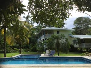 Gallery image of Sand Dollar Beach Bed & Breakfast in Bocas Town