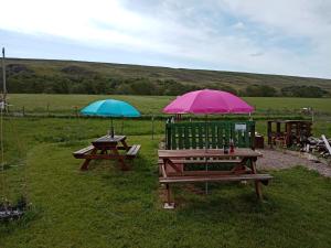 two picnic tables with umbrellas in a field at Wee Hoose Glaping Pod 2 in Skail