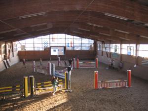 un grupo de personas de pie en una arena en un granero en Pension & Reitschule Fuchsenhof, en Seebarn