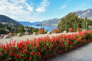 a row of red flowers with a lake in the background at Agriturismo Il Colle in Bellagio
