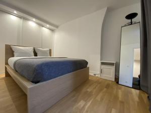 ein Schlafzimmer mit einem großen Bett und einem Spiegel in der Unterkunft Montparnasse Cozy Flat in Paris