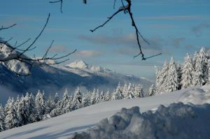 Fotografie z fotogalerie ubytování Panoramahof am Goldberg v destinaci Dellach