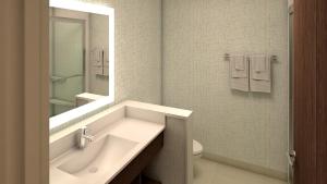 een badkamer met een wastafel, een toilet en een spiegel bij Holiday Inn Express & Suites Edmonton N - St Albert, an IHG Hotel in St. Albert