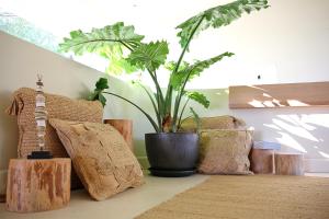 a room with several pillows and a potted plant at Casa Bodhi Boutique Hotel & Spa in Marbella