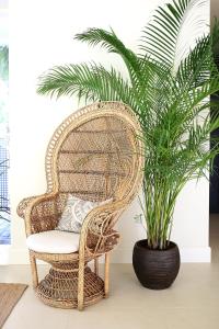 a wicker chair next to a potted plant at Casa Bodhi Boutique Hotel & Spa in Marbella