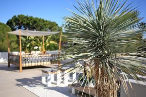 a palm tree sitting next to a table and an umbrella at Casa Bodhi Boutique Hotel & Spa in Marbella