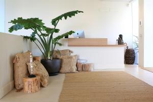 a living room with a rug and plants on the floor at Casa Bodhi Boutique Hotel & Spa in Marbella