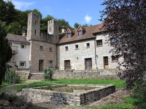 Saint-Sernin-du-Bois的住宿－Domaine Du Bas De Chene，一座古老的石头建筑,前面有一个池塘