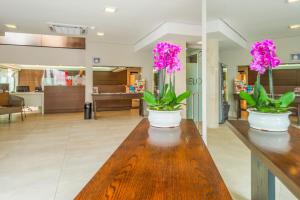 Fotografie z fotogalerie ubytování Hotel Melo v destinaci Balneário Camboriú