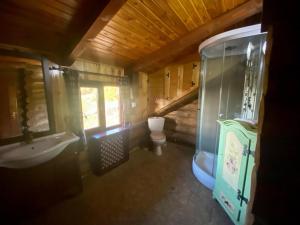 a bathroom with a sink and a toilet in a room at Cabana vânătorului in Râşnov