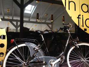 Montar en bicicleta en Hotel Domus o alrededores