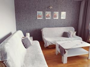 傑爾若紐夫的住宿－Apartament Romana，客厅配有沙发和桌子