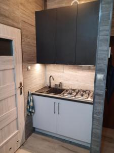 Kuchyň nebo kuchyňský kout v ubytování Ratuszowy49