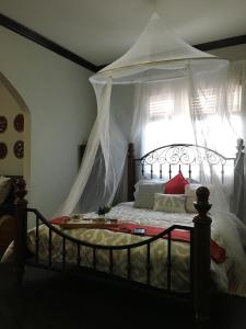 S - Heaven in Little Havana (Apt 1)
