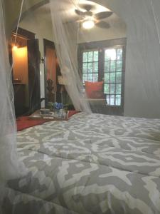 S - Heaven in Little Havana (Apt 1)