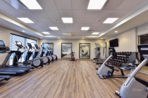 una sala de fitness con cintas de correr y máquinas de ejercicio cardiovascular en Holiday Inn Express Hotel & Suites Waterloo - St. Jacobs Area, an IHG Hotel, en Waterloo