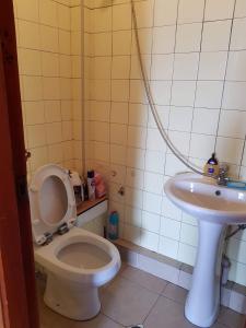 y baño con aseo y lavamanos. en Hostel Levan, en Tiflis