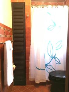 een badkamer met een toilet en een douchegordijn bij The Jewel of Little Havana - 2S in Miami