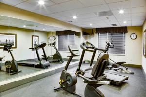 Fitness centrum a/nebo fitness zařízení v ubytování Holiday Inn Express & Suites Nevada by IHG