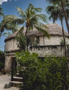 a large palm tree in front of some palm trees at NEST Tulum in Tulum