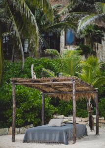 Zahrada ubytování NEST Tulum