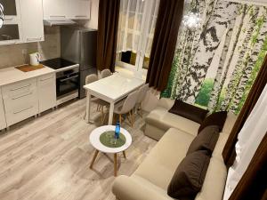 Kuchyňa alebo kuchynka v ubytovaní Apartamenty W Brzozowym Gaju