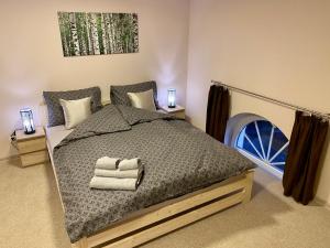 Posteľ alebo postele v izbe v ubytovaní Apartamenty W Brzozowym Gaju