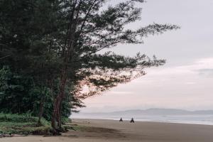 a person standing on a beach next to a tree at Roxy Sematan Canopy & Villa in Sematan