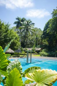 une piscine avec des palmiers en arrière-plan dans l'établissement Hotel Maya Bell, à Palenque