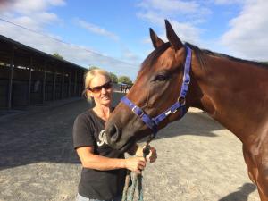 Gallery image of Horseinaround in Cambridge