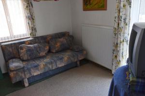 a living room with a couch and a television at Sonnenheim in Forchach