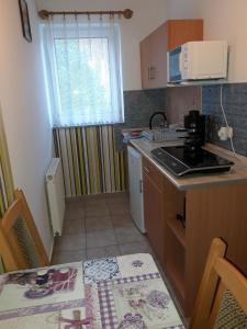 Gallery image of Attila Vend&eacute;gh&aacute;z in H&eacute;v&iacute;z