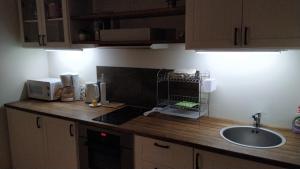 a kitchen counter with a sink and a microwave at Kotkapoja Residence in Kuressaare