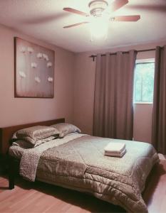 埃德蒙頓的住宿－Private Rooms NAIT Guest House For Men Only，一间卧室配有一张床和吊扇