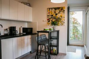 Kuchyňa alebo kuchynka v ubytovaní Apartamenty Bryza-Matejki 1B-Parking