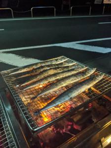 Grillaðstaða í boði fyrir gesti á gistihúsinu +21 mynd