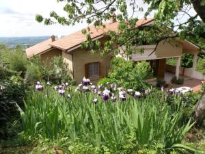 Gallery image of Villa Ca' dell'Olmo in Monteciccardo